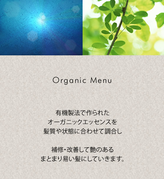 有機製法で作られたオーガニックエッセンスを髪質や状態に合わせて調合し補修・改善して艶のあるまとまり易い髪にしていきます